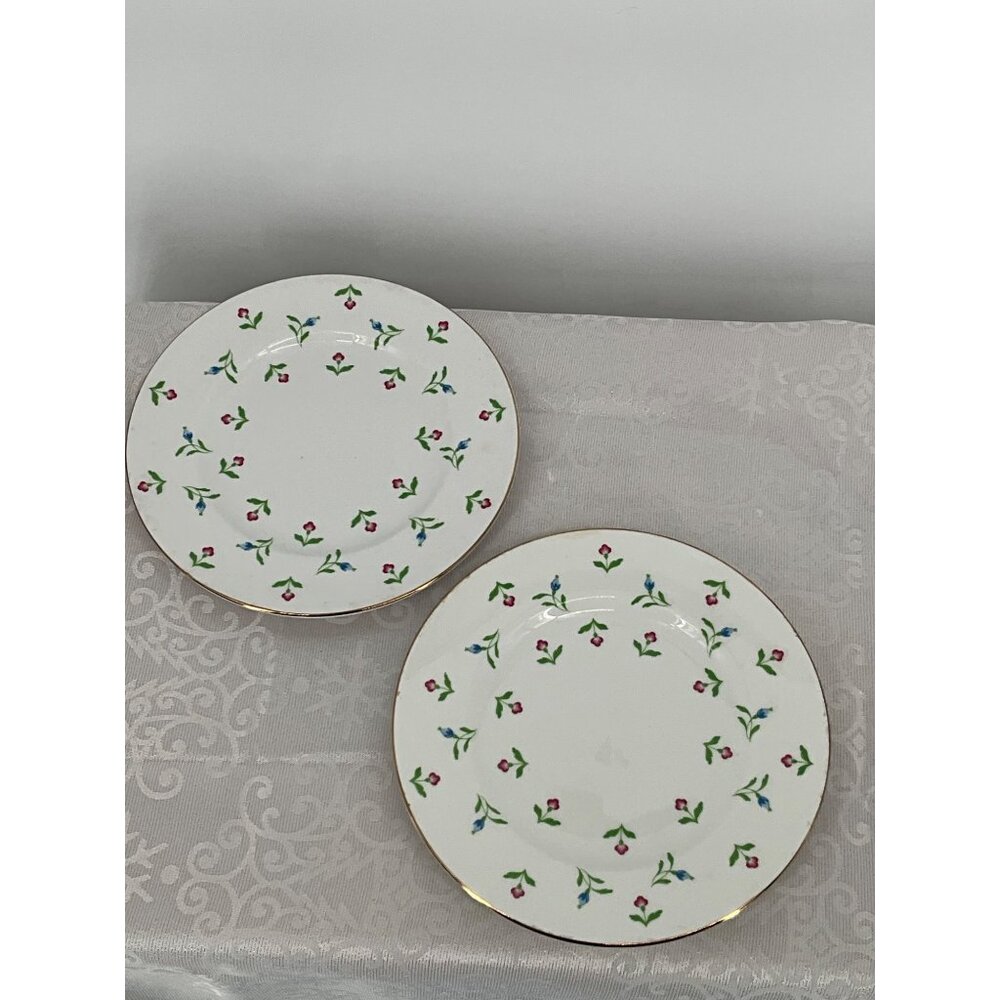Royal Victoria ROV12‎ Fine Bone China Floral Salad Dessert Plates Set Of 2